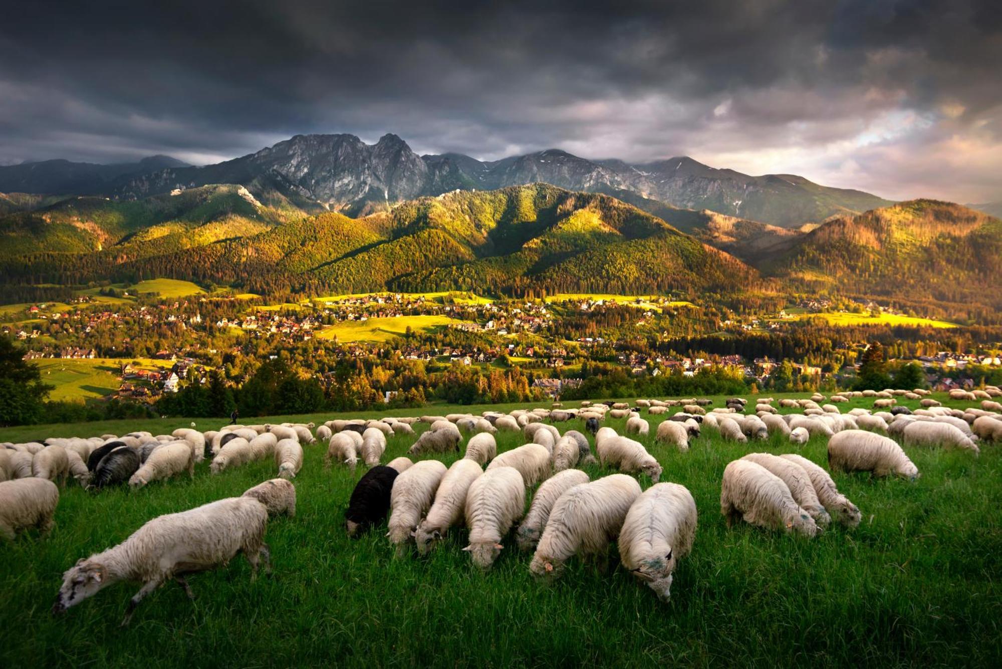 Gorska Osada Luxury Chalets Zakopane Poronin Exteriér fotografie